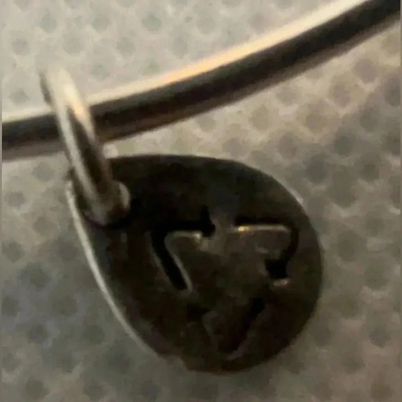 Alex and Ani | Skeleton Key charm bracelet. - Picture 8 of 12